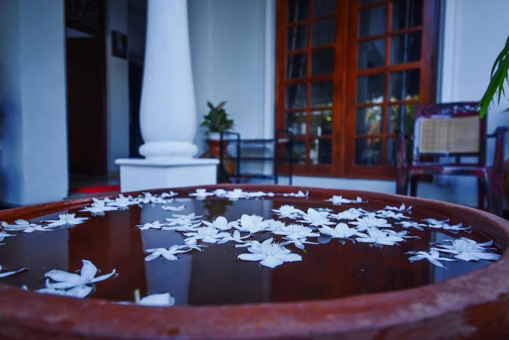 Asian Villa Negombo Zewnętrze zdjęcie